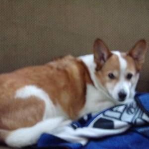 Meet your Posher, Debra